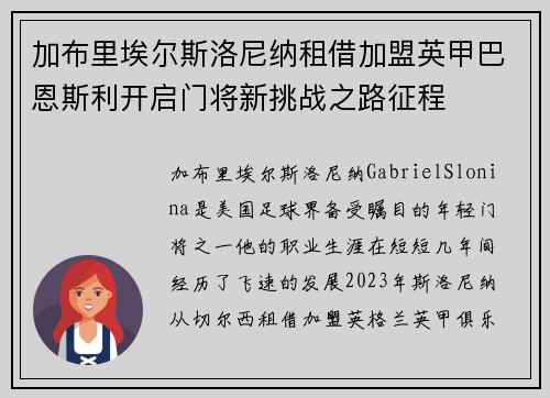 加布里埃尔斯洛尼纳租借加盟英甲巴恩斯利开启门将新挑战之路征程